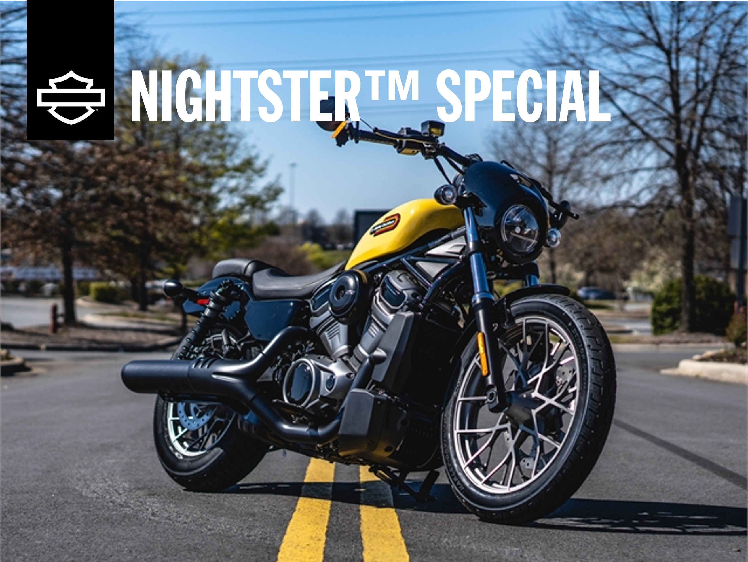 Nightster Special